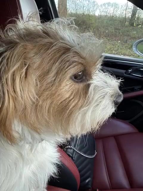 Jock Spent Time Away Video Prompt