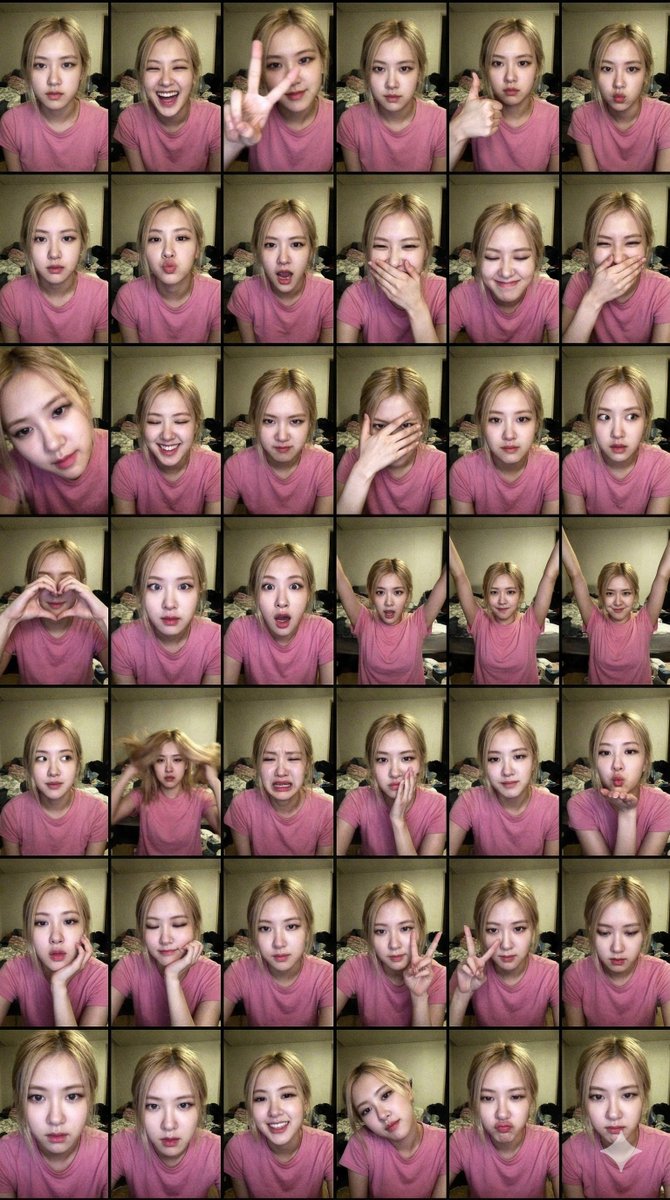 Extreme Lo-Fi Webcam Contact Sheet (Rosé Blackpink)