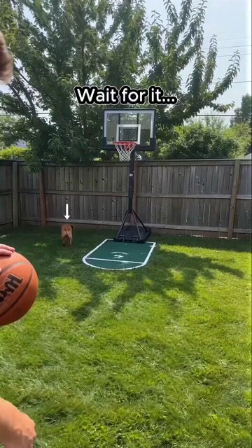 Basketball Dribbling Social Media Video Prompt