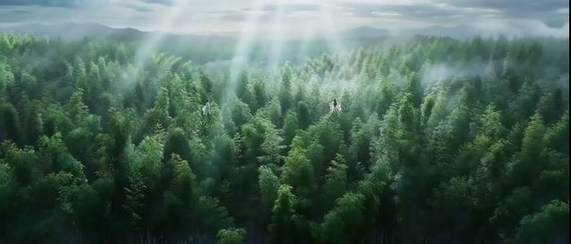 Classical Wuxia Duel in Bamboo Forest